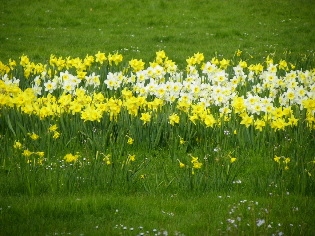 101_5914_jpg-1320271536