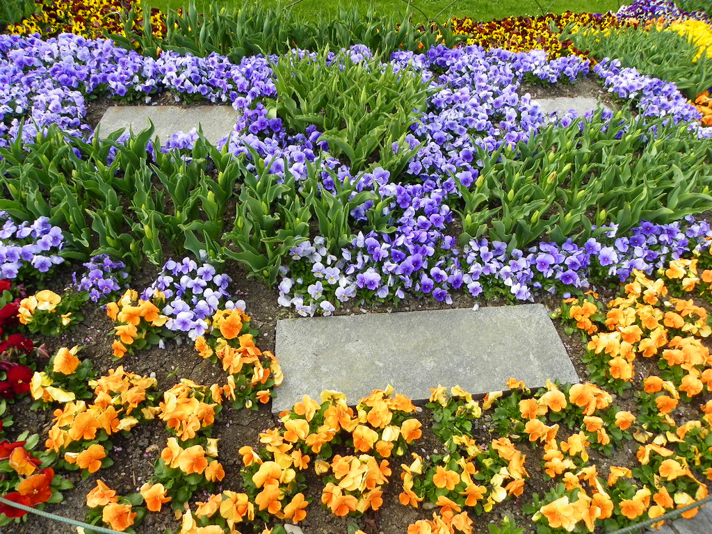 101_5912_jpg-1320271529