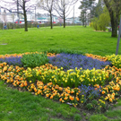 101_5976_jpg-1320271560