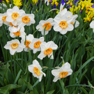 101_5986_jpg-1320271573