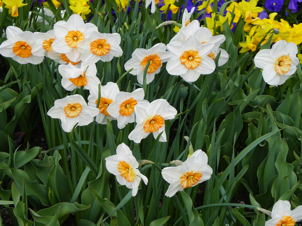 101_5986_jpg-1320271573