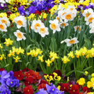 101_5987_jpg-1320271579