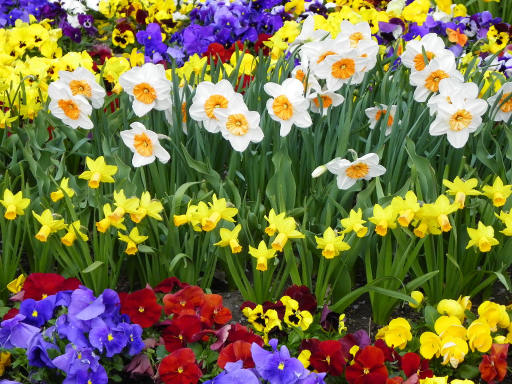 101_5987_jpg-1320271579