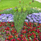 101_6006_jpg-1320271591