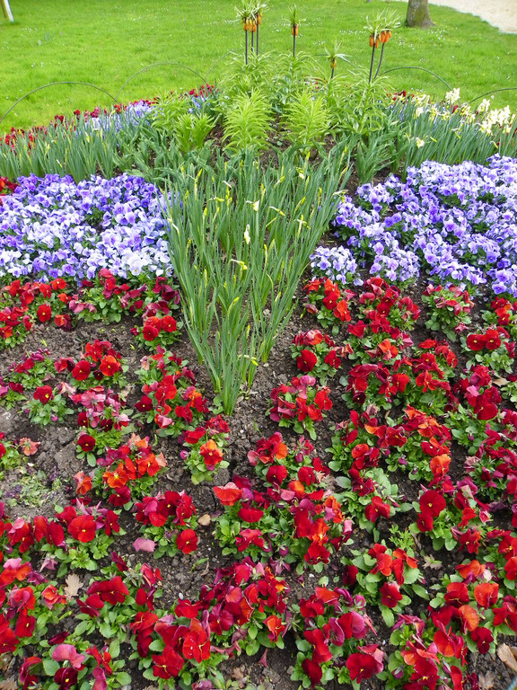 101_6006_jpg-1320271591