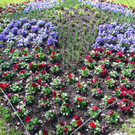 101_0021_jpg-1320271610