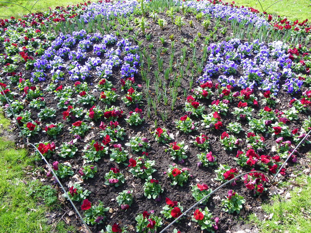 101_0021_jpg-1320271610