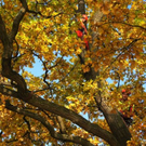 normal_31102011nachblickoktoberspaktivnews_005.JPG