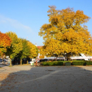normal_31102011nachblickoktoberspaktivnews_011.JPG