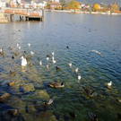 normal_31102011nachblickoktoberspaktivnews_013.JPG