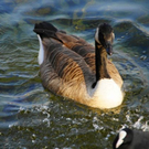 normal_31102011nachblickoktoberspaktivnews_016.JPG
