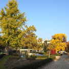 normal_31102011nachblickoktoberspaktivnews_023.JPG