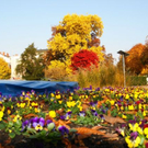 normal_31102011nachblickoktoberspaktivnews_024.JPG