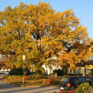 normal_31102011nachblickoktoberspaktivnews_025.JPG