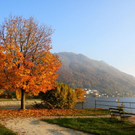 normal_31102011nachblickoktoberspaktivnews_026.JPG