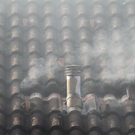 normal_03112011fmt_brandgneis_ta_007.JPG