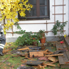 normal_03112011brandffaktivnews_06.jpg