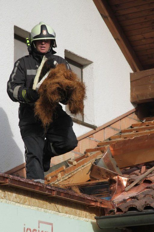 normal_03112011brandffaktivnews_09.jpg