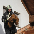 normal_03112011brandffaktivnews_09.jpg