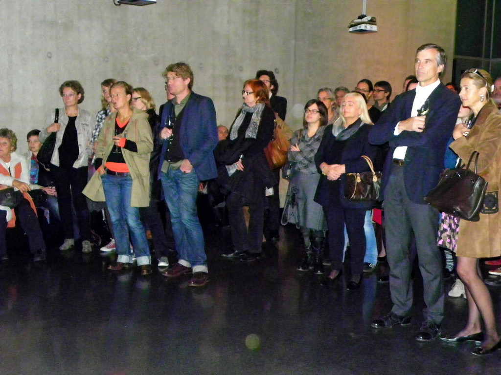 113_0258_JPG-1320364288