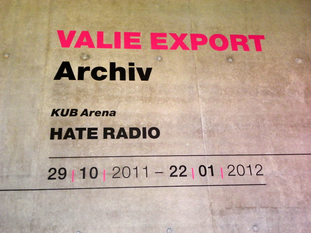 113_0264_JPG-1320364319