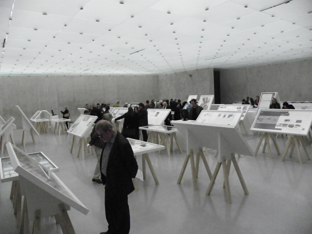 113_0221_JPG-1320364742