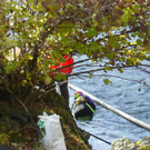 IMGP0064_1.JPG