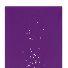 47_purple.jpg
