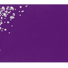 48_purple.jpg