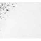 48_white.jpg