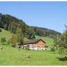 DSC02083.JPG