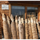 DSC03595 _2_.JPG