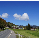 dsc2499 _3_.JPG
