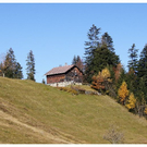 DSC3559 _1_.JPG