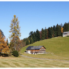 DSC3559 _3_.JPG