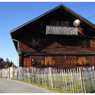 DSC3559 _5_.JPG