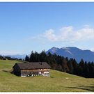 DSC3559 _7_.JPG
