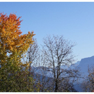 DSC3559 _18_.JPG