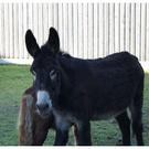 DSC3559 _34_.JPG