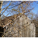 DSC3559 _40_.JPG
