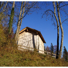 DSC3559 _42_.JPG