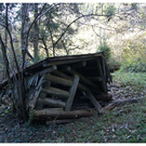 DSC3559 _43_.JPG
