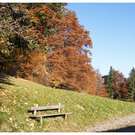 DSC3559 _45_.JPG