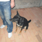 SDC12575.JPG