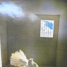 113_0705_JPG-1320452774