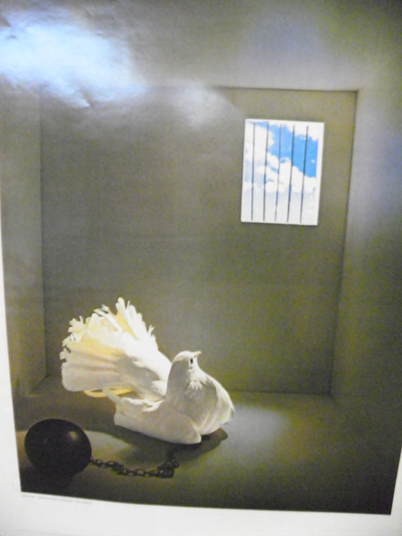 113_0705_JPG-1320452774