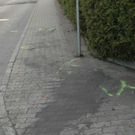 normal_04112011vuwalsnpaktivnews_20_10_.jpg
