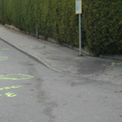normal_04112011vuwalsnpaktivnews_20_9_.jpg