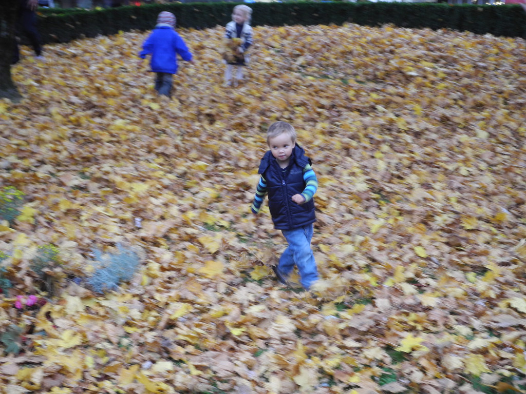 DSCN6877_JPG-1320501758