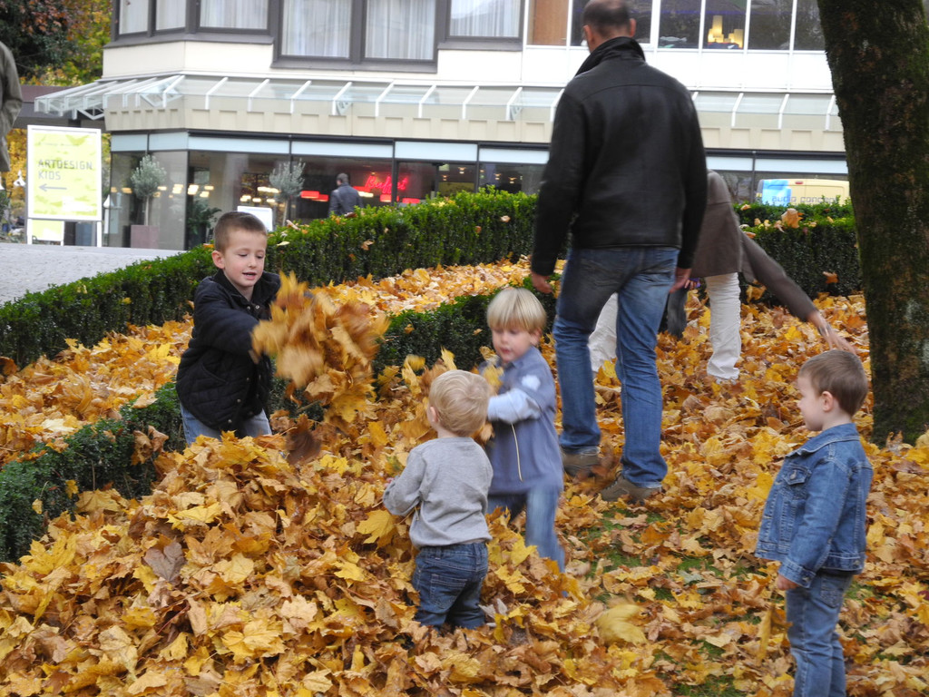 DSCN6875_JPG-1320501729